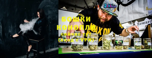 шишки Алексеевка