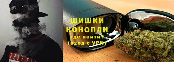 бошки Алексин