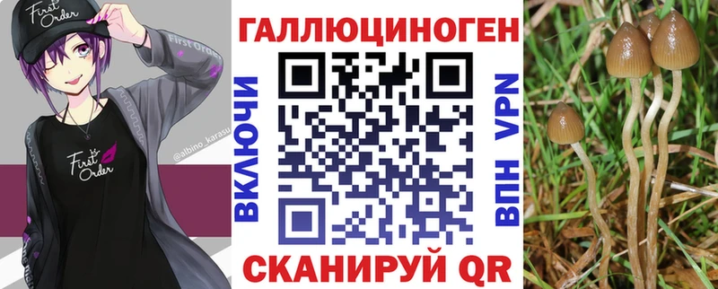 Галлюциногенные грибы Psilocybe  Бирск 