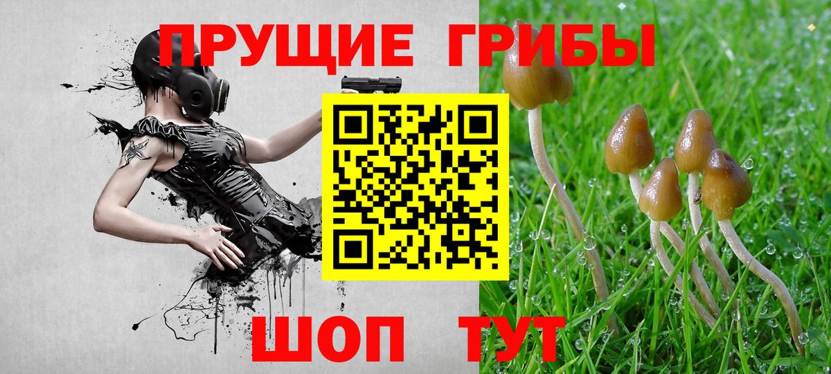 Галлюциногенные грибы мицелий  Вход с VPN  Бирск 