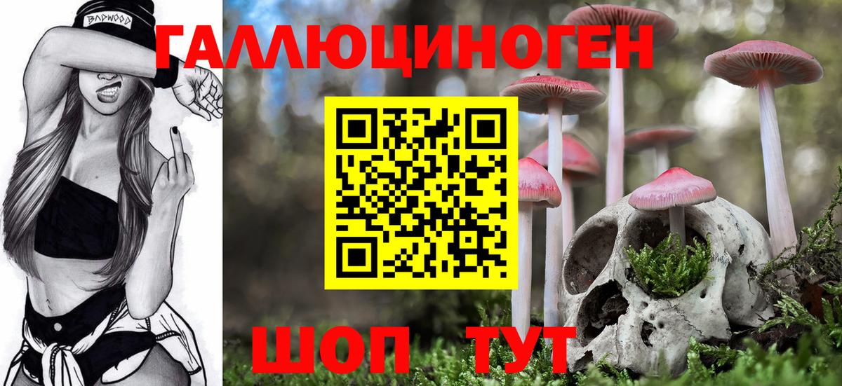 Галлюциногенные грибы мухоморы Бирск